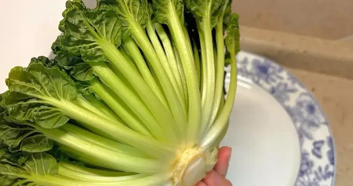 又到了春喫芽的季節，這10個春季限定美味，每一個都是心頭愛