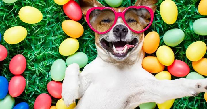 精選爆笑幽默笑話，看完包你笑6天6夜，快發到朋友圈笑死你朋友吧