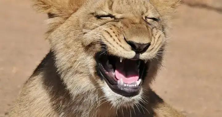 剛出爐的最新爆笑幽默笑話，讓人笑掉大牙，我老婆看一次笑一次