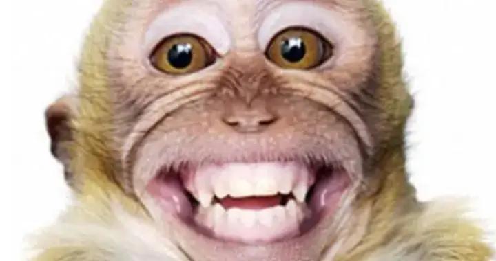 12條簡短的爆笑幽默笑話，笑點拉滿，讓你2026年每天都開開心心