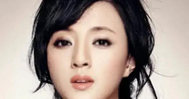 她是馮鞏“御用老婆”，連登5年春晚後精神失常，如今52歲怎樣了?