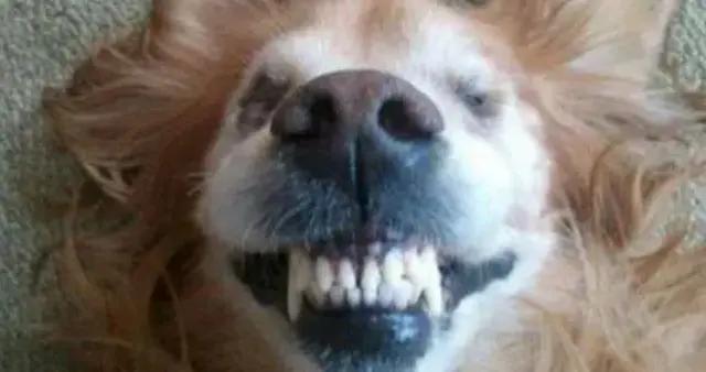 剛出爐的14個最新爆笑幽默笑話，看一次笑一次，絕對讓您哈哈大笑