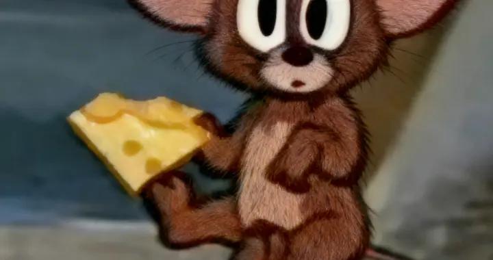 過年不建議喫太撐，記得留一點“飢餓感”