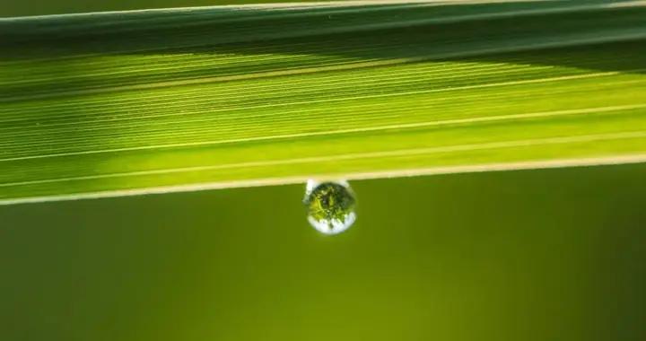 雨水養生丨雨水至、溼氣生，養好脾胃，百病不侵