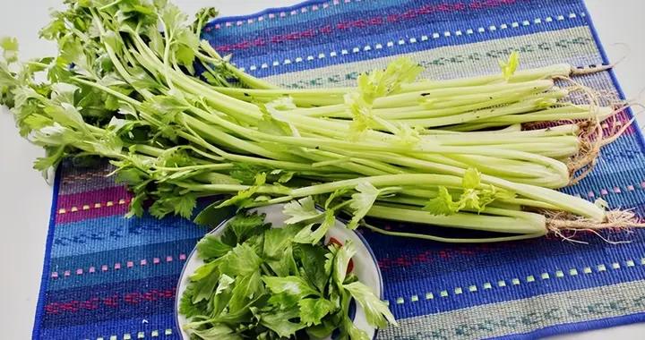 上火不用愁！多喫這些清熱食物，搭配好習慣，快速降火見效快