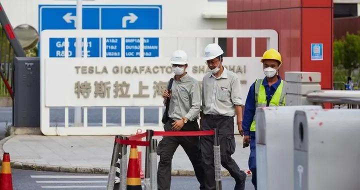 上千人失業！特斯拉急踩剎車，馬斯克警告美國，中國已成威脅