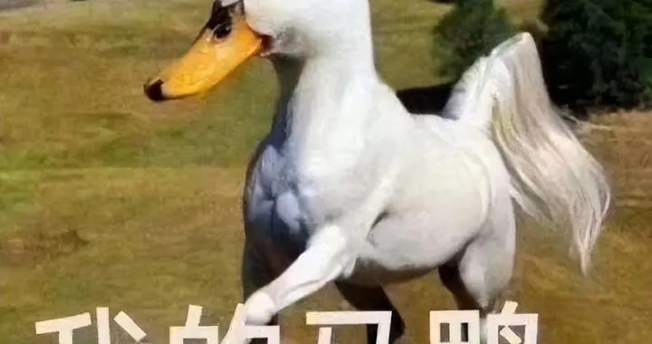 馬年盤點！遊戲裏那些過目難忘的魔性馬，人頭馬竟遭Steam封殺