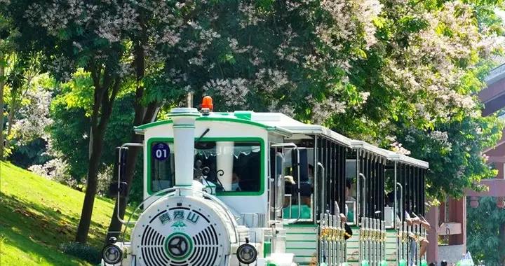 一半是安逸養老，一半是熬夜天堂！這座城冬天有鮮花，凌晨有人潮