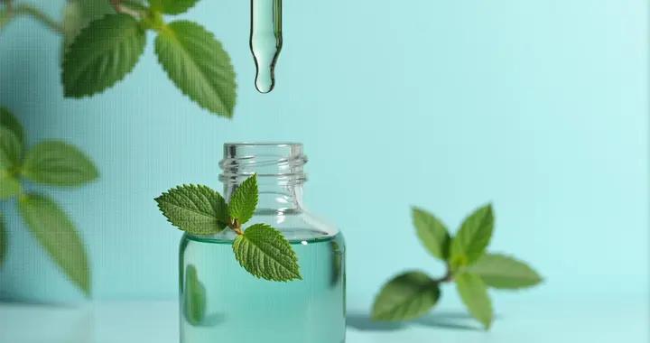 薄荷精油不止好聞！功效和用法是哪些
