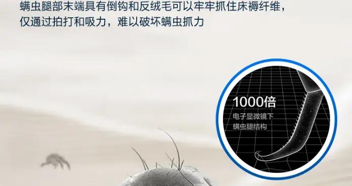 公認好用的除蟎儀有哪些？熱門家用除蟎儀十大排名榜，多維度測評