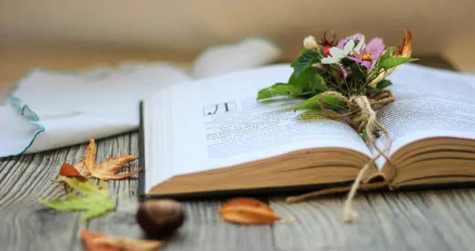 技術時代，好的城市公共生活是什麼樣的？