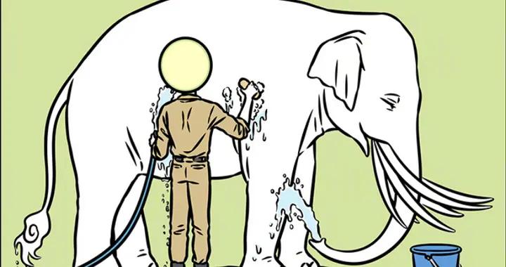 同樣是對待坐騎，青獅自給自足，白象被寵上天，還在瘋狂掉金豆子