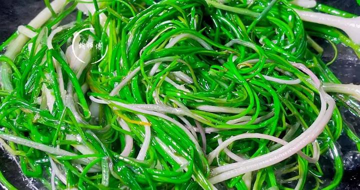 這菜不起眼，卻是“極品野菜”，比薺菜營養比韭菜鮮，農村遍地是