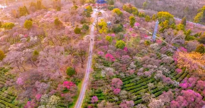 春節9天：南京2068萬、蘇州1750萬、無錫1740萬