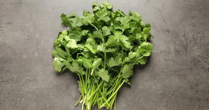 原來世界上有那麼多人不喫「香菜」……