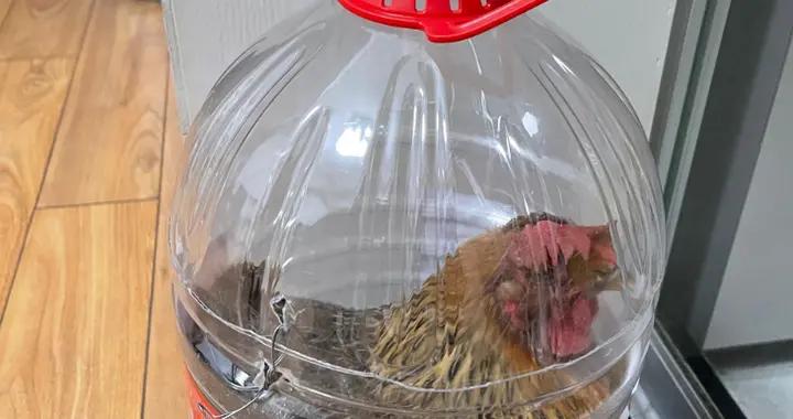 第一次感受到“礦泉水桶”的威力！改造一下，比專門的東西還好用