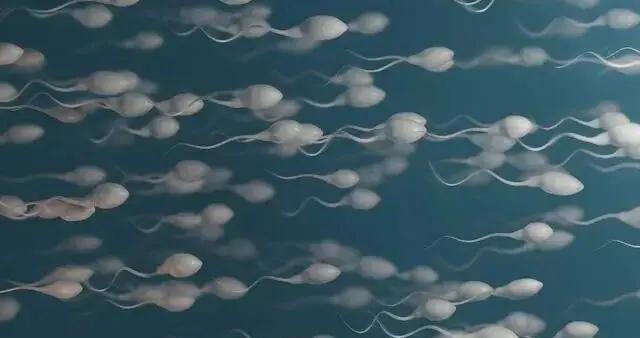 超過這個年齡，精子會斷崖式衰老，且會傳給下一代！