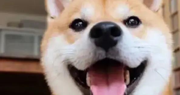 笑到噴飯，這12個爆笑幽默笑話，個個讓你笑到腮幫子疼，建議收藏