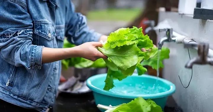 這4種看似乾淨的洗菜方式，可能讓菜越洗越髒！很多人天天都在做
