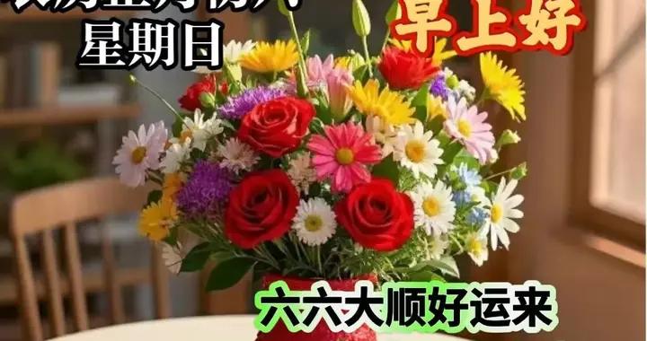 早安，願你的一天如陽光般燦爛，一年都順順利利