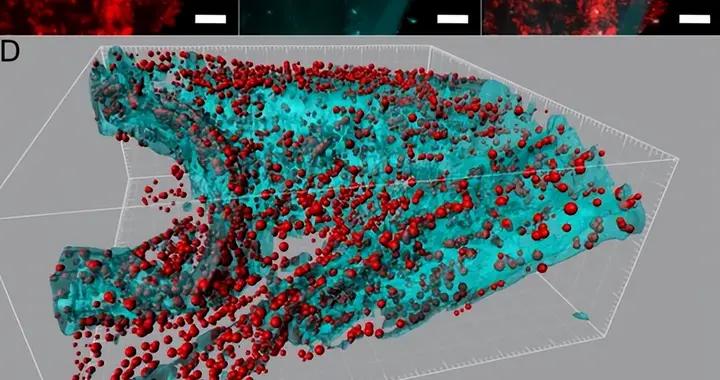 細菌超 500 億個！很多人捨不得換的洗碗工具，真的該扔了