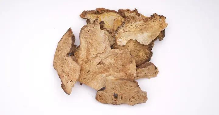 想知道生白朮有多厲害？看它如何調理身體，守護你的健康防線