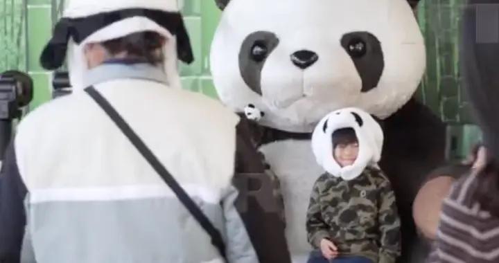 日本人在動物園扮演起了大熊貓！網友：這招實在是有點抽象
