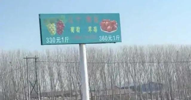 微言 | 360元一斤的草莓，噱頭代替不了品質
