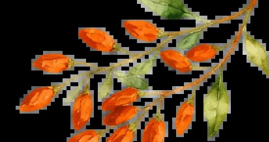 養肝多喫這些！做法簡單不費功夫