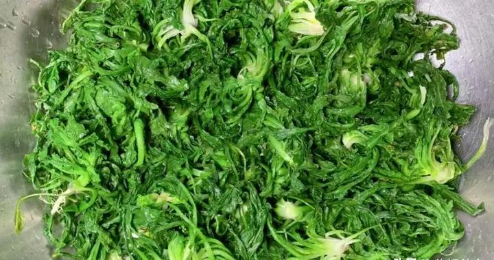 春天，遇到這菜使勁喫！一次囤10斤，放冰箱凍起來，蒸包子喫特香