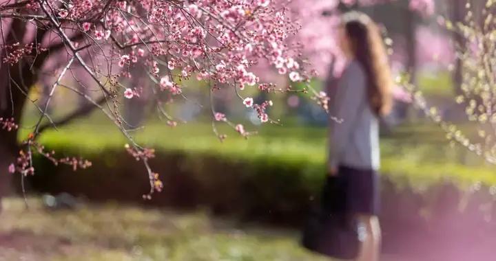 在春天“復甦”的，還有這4類疾病