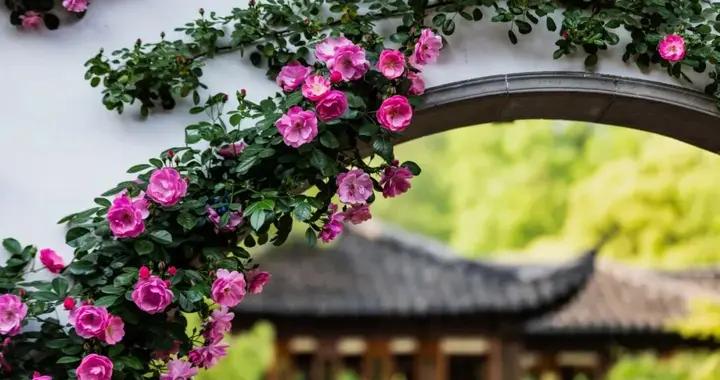 什麼是人生最高級的快樂？（這是我看到最好的答案）