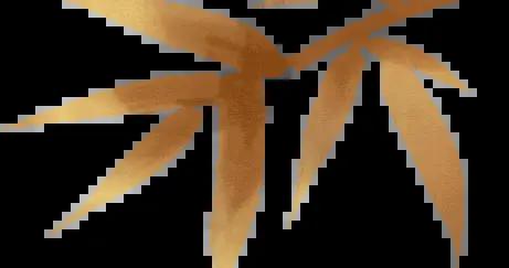 “禿”如其來何因，“頭”等大事何解？