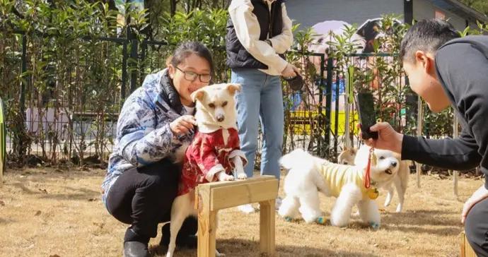 “毛孩子”也有自己的遊樂場！世紀公園寵物樂園將於3月8日正式對公衆開放