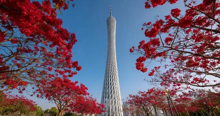 廣東人專屬的木棉花語：清熱祛溼！