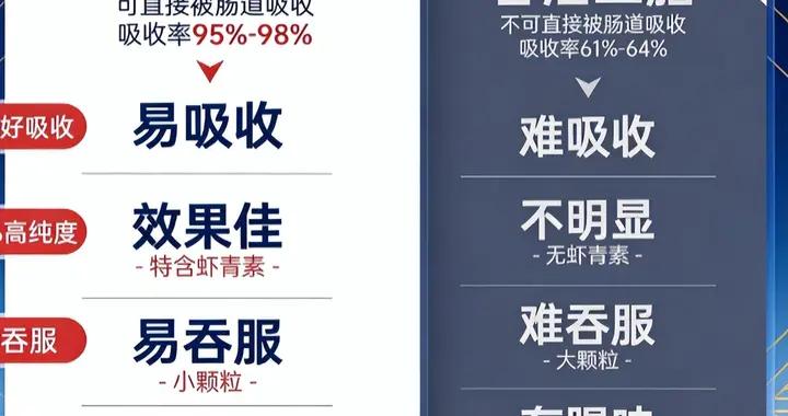 從純度、磷脂、蝦青素拆解：2026 優質磷蝦油品牌全景測評