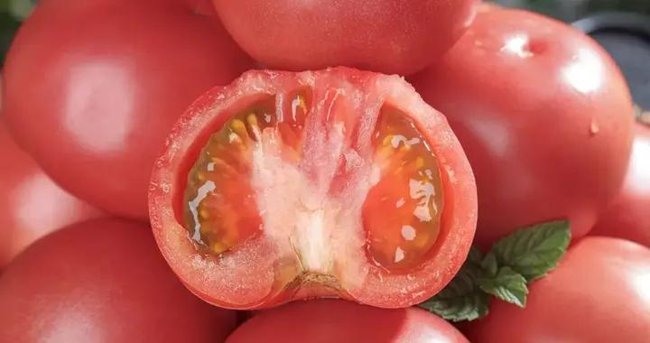 研究發現：每天喫西紅柿，6 周後可顯著減輕脂肪？