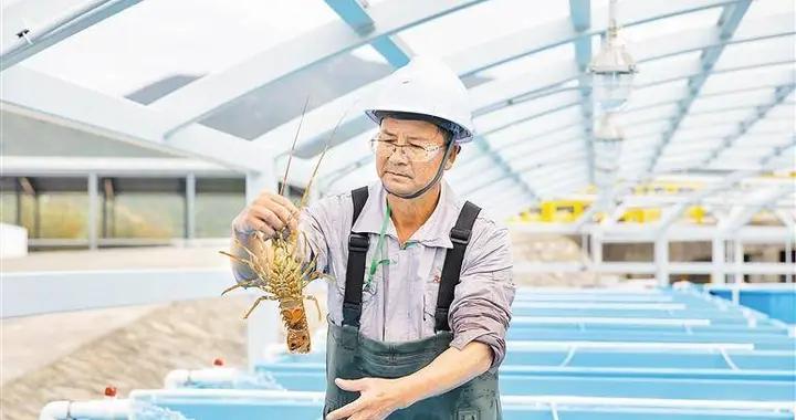 全球頭一個！冷海水被深圳拿來養三文魚，預計年產 5000 噸， 5 億元