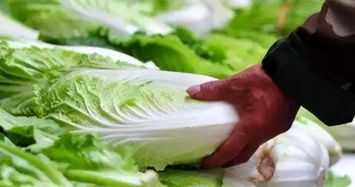 “甲醛白菜”暴利橫行！冷藏保鮮每斤多3毛，網紅實地曝光亂象