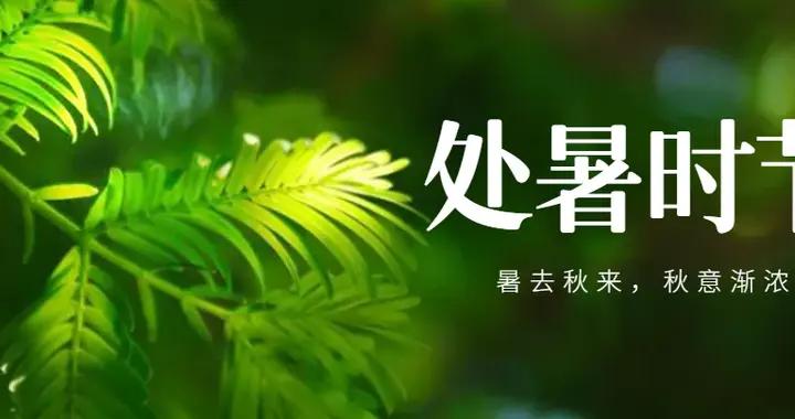 明天處暑，提醒大家：“3樣不上桌，福氣不進門”，莫忘老傳統！
