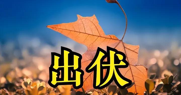 明日出伏，60年一遇不一般！白天5禁忌，晚上4注意，別忘告訴家人