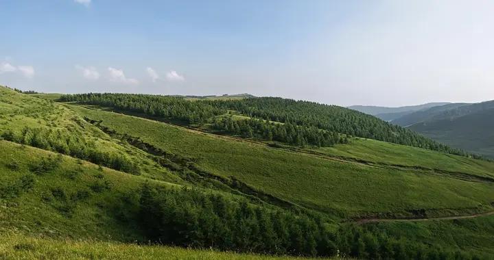 敇勒川高山草原，這篇旅遊攻略，讓你如何玩轉高山草原，避免誤區