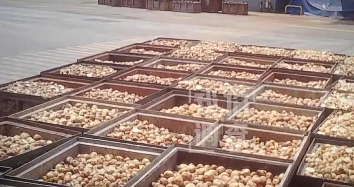 “毛粉”變澱粉？光查小作坊有用嗎？是時候對大企業“追終”了！