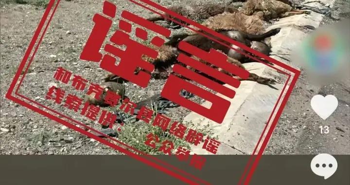 網傳碰撞牧民牛羊“據說要賠20W”信息不實