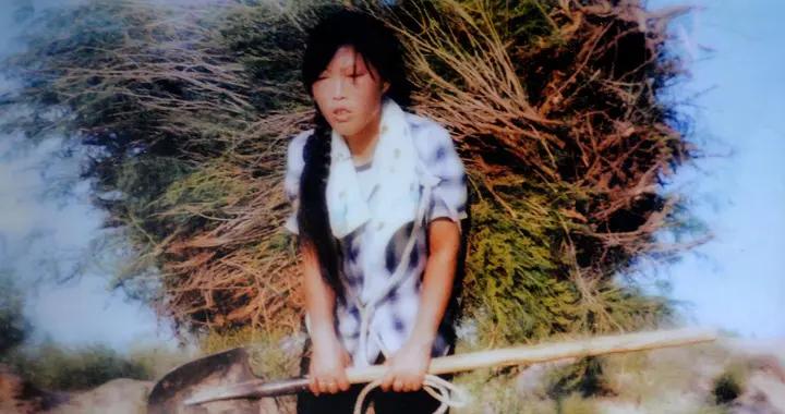 賽考斯、殷玉珍感動全網，但背後藏着萬億級的時代密碼