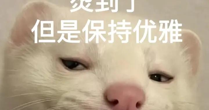 當我在高鐵上掏出這個小東西，鄰座直接問了3次鏈接