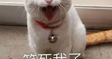 最新笑話：女兒剛出生，老婆就罵我：你上輩子就是個花心渣男