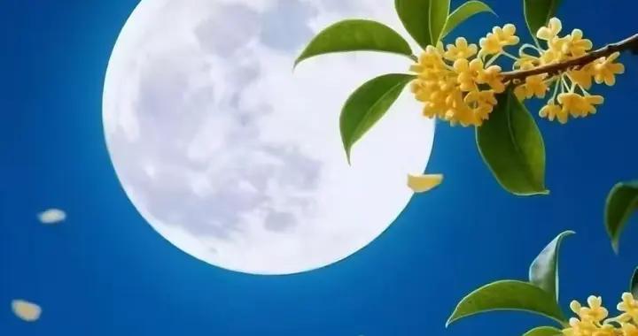 散文·望月遐思