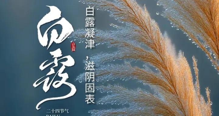 不是迷信！今日白露，牢記最不能做的6件事，別忘記告訴家人