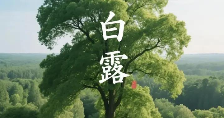 白露喫餃子，韭菜白菜靠邊站，4種“福氣餡”秋日最鮮，別錯過